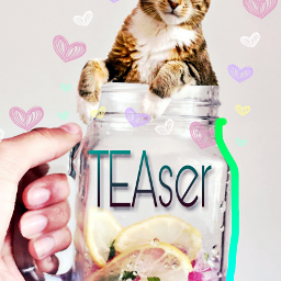 freetoedit cat tea teaser jar ircjarofjoy