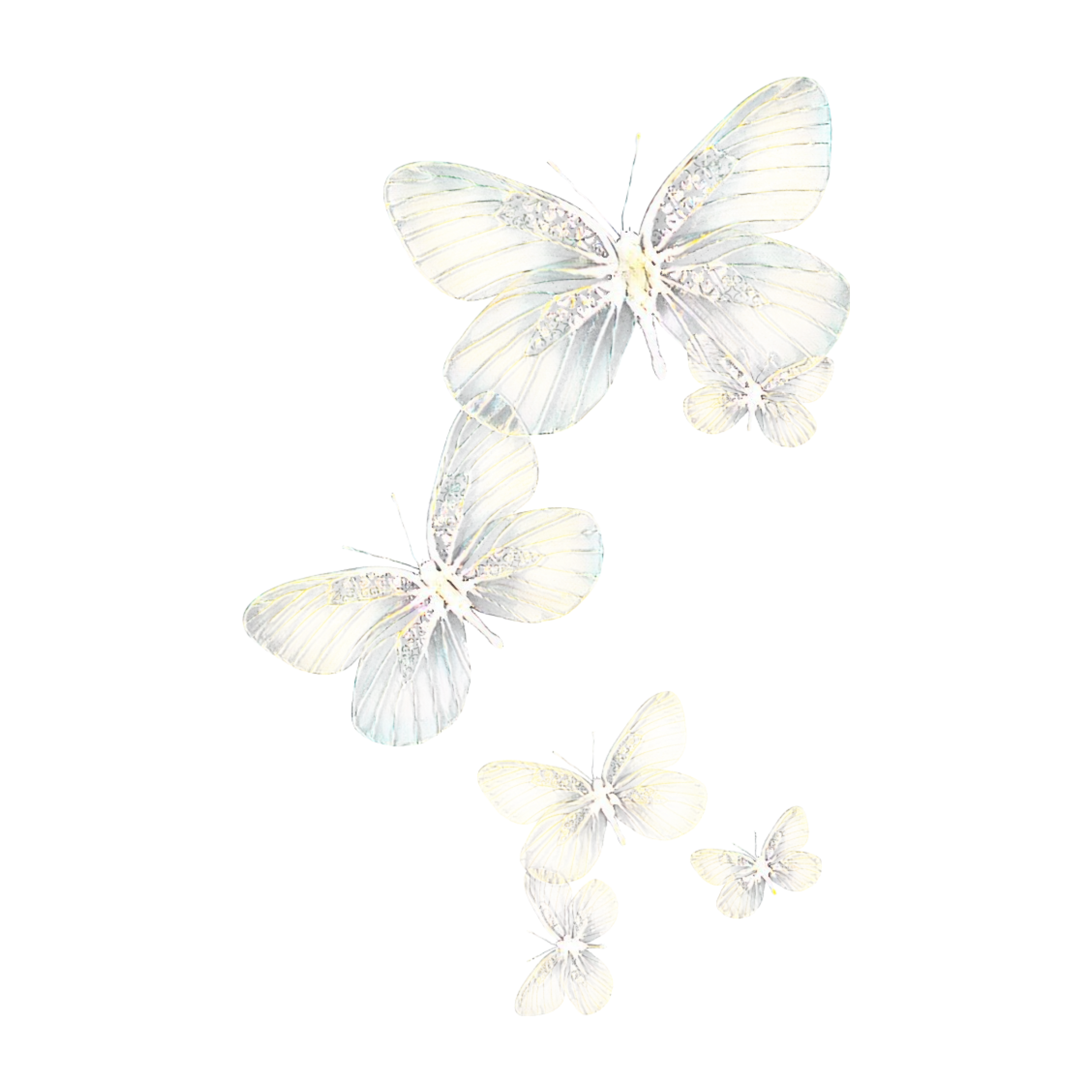 Light Butterfly Png - Colorful Butterfly Light Picsart | Giyarisyah