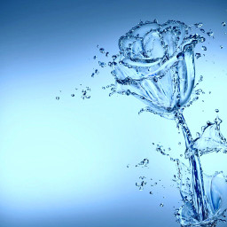 water rose pcwater