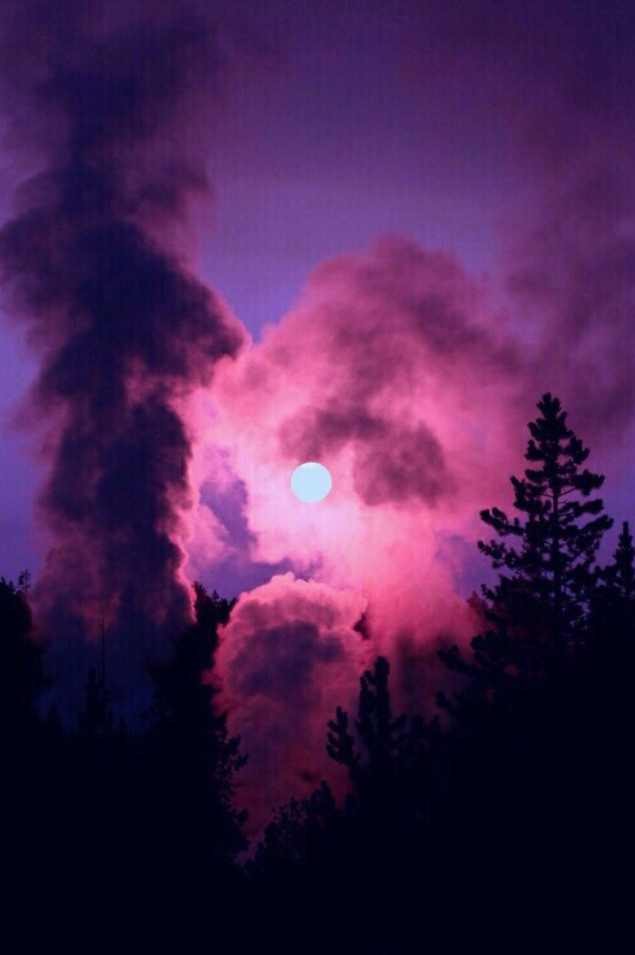 #freetoedit #remixit #tumblr #grunge #fuchsia #art #rare #pink #landscape #forest