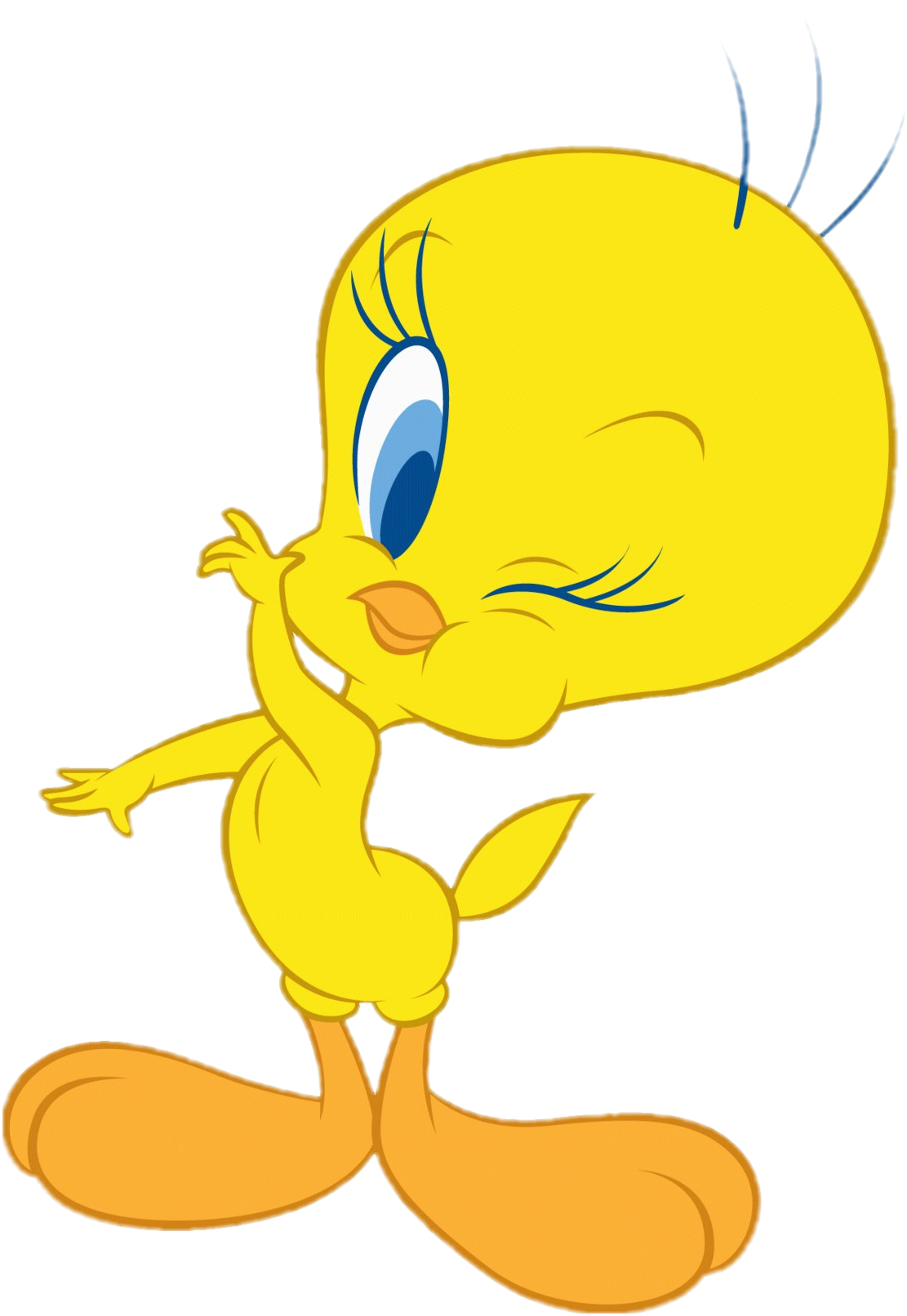 tweety-freetoedit-tweety-sticker-by-kerstinkerstin5