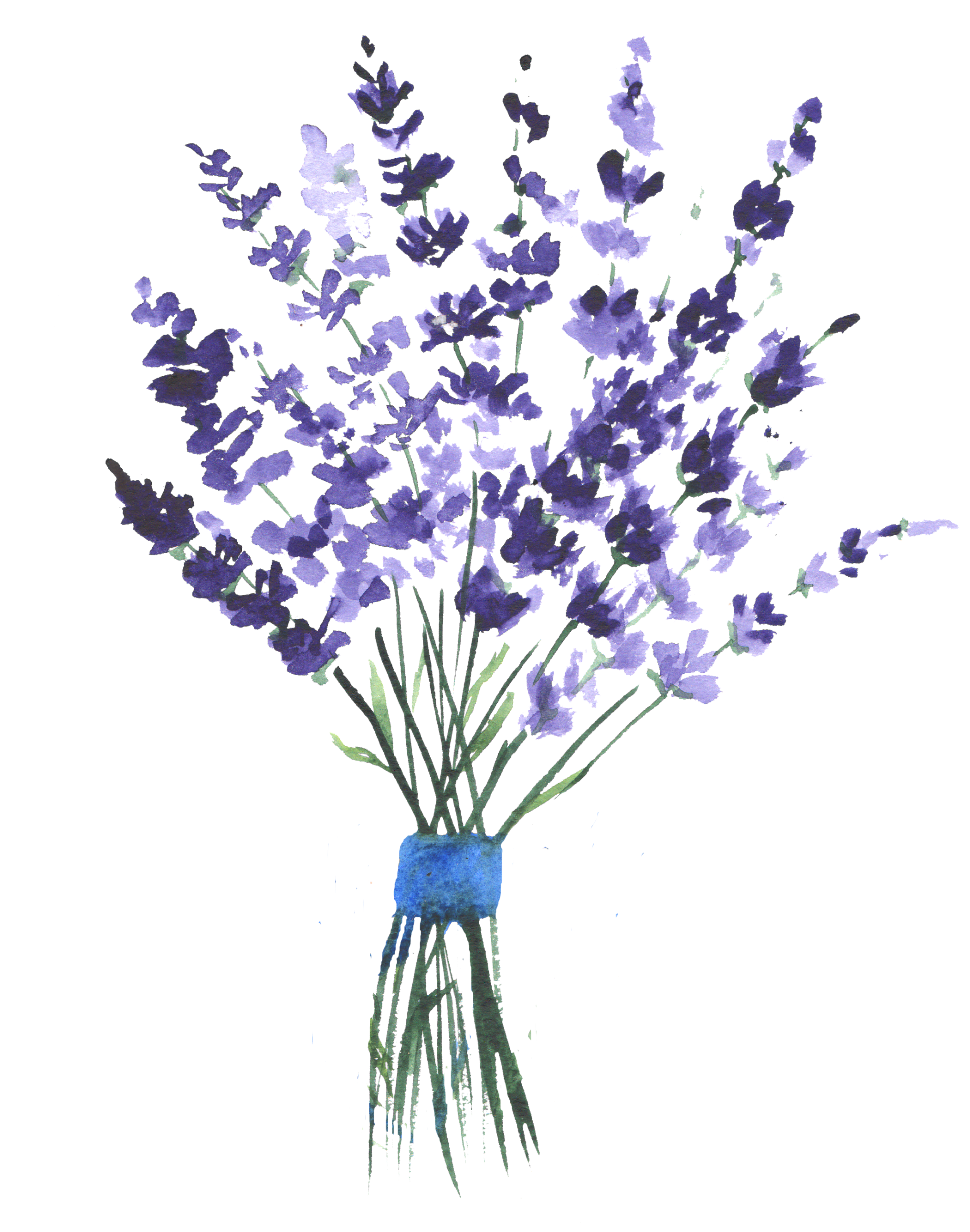 ftestickers flowers watercolor lavender...