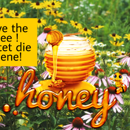 savethebee savethebees bee honey honeybee freetoedit