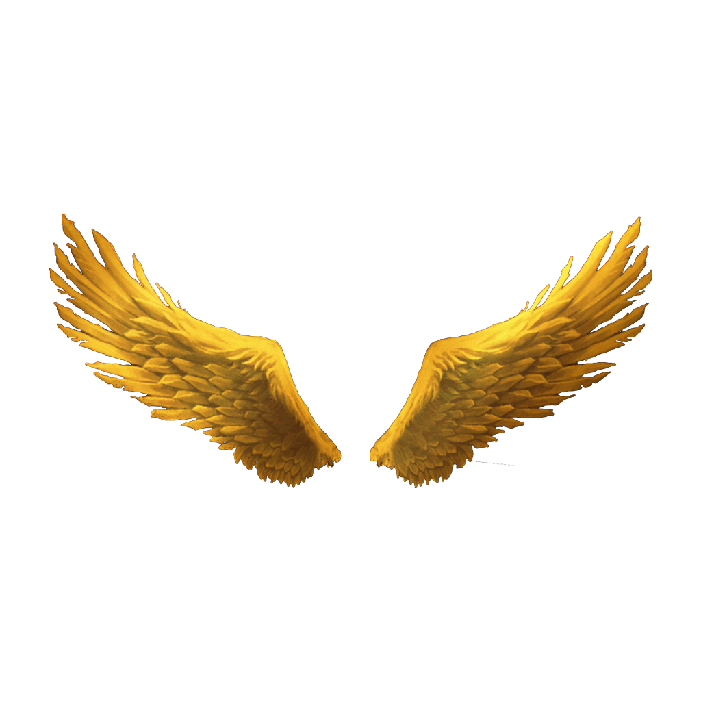 Золотистые крылья. Золотые Крылья. Крылья золото. Золотые Крылья вектор. Крылья для фотошопа.
