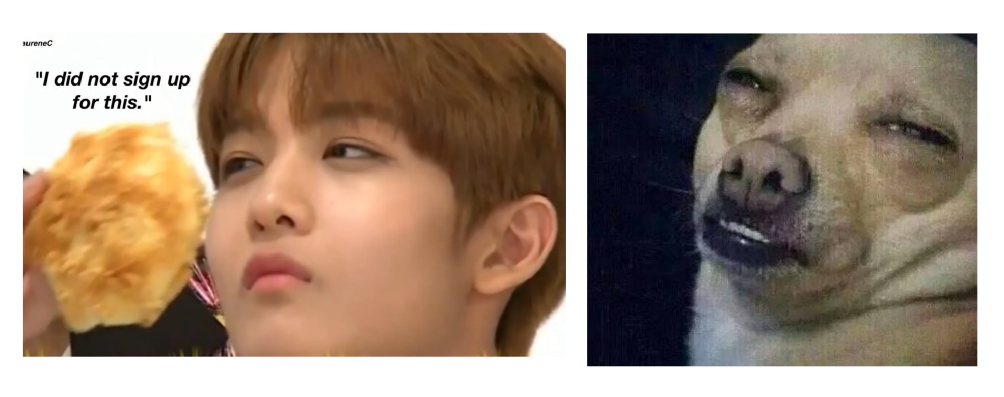 Baejinyoung Wannaone Meme Freetoedit