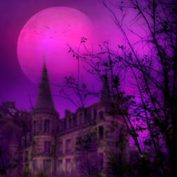 mastershoutout myedit madewithpicsart silhouette planet fantasyart surealism purple moon birds branches castle freetoedit