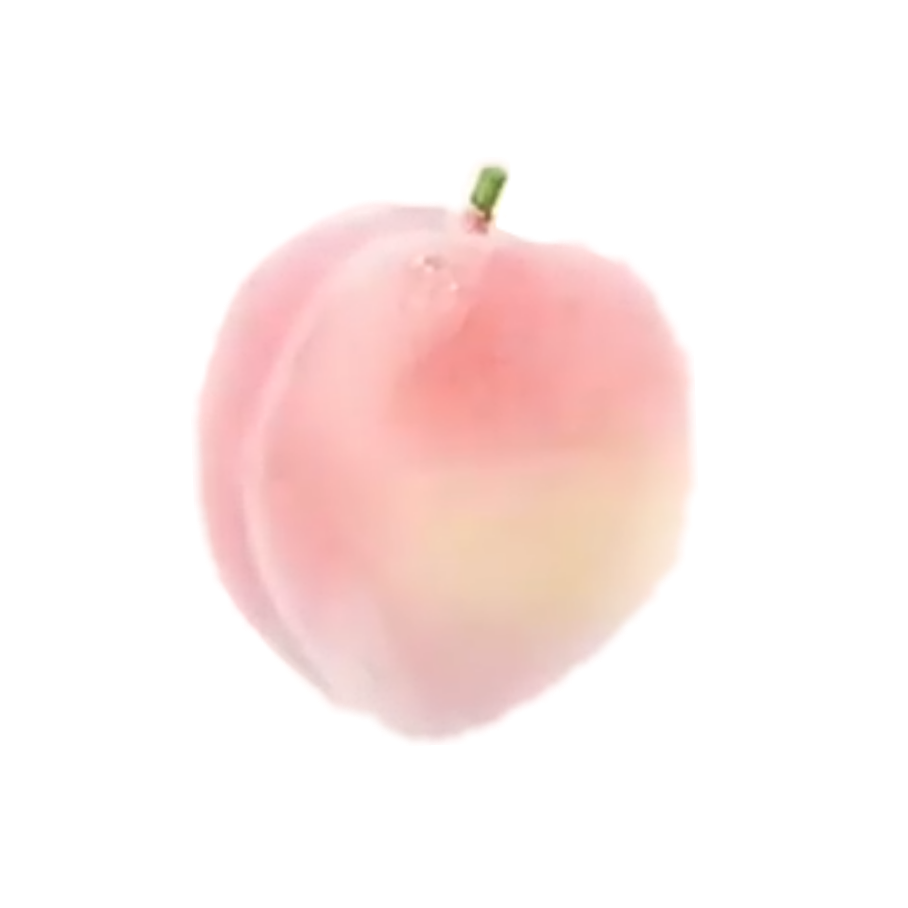 Transparent Peach Aesthetic