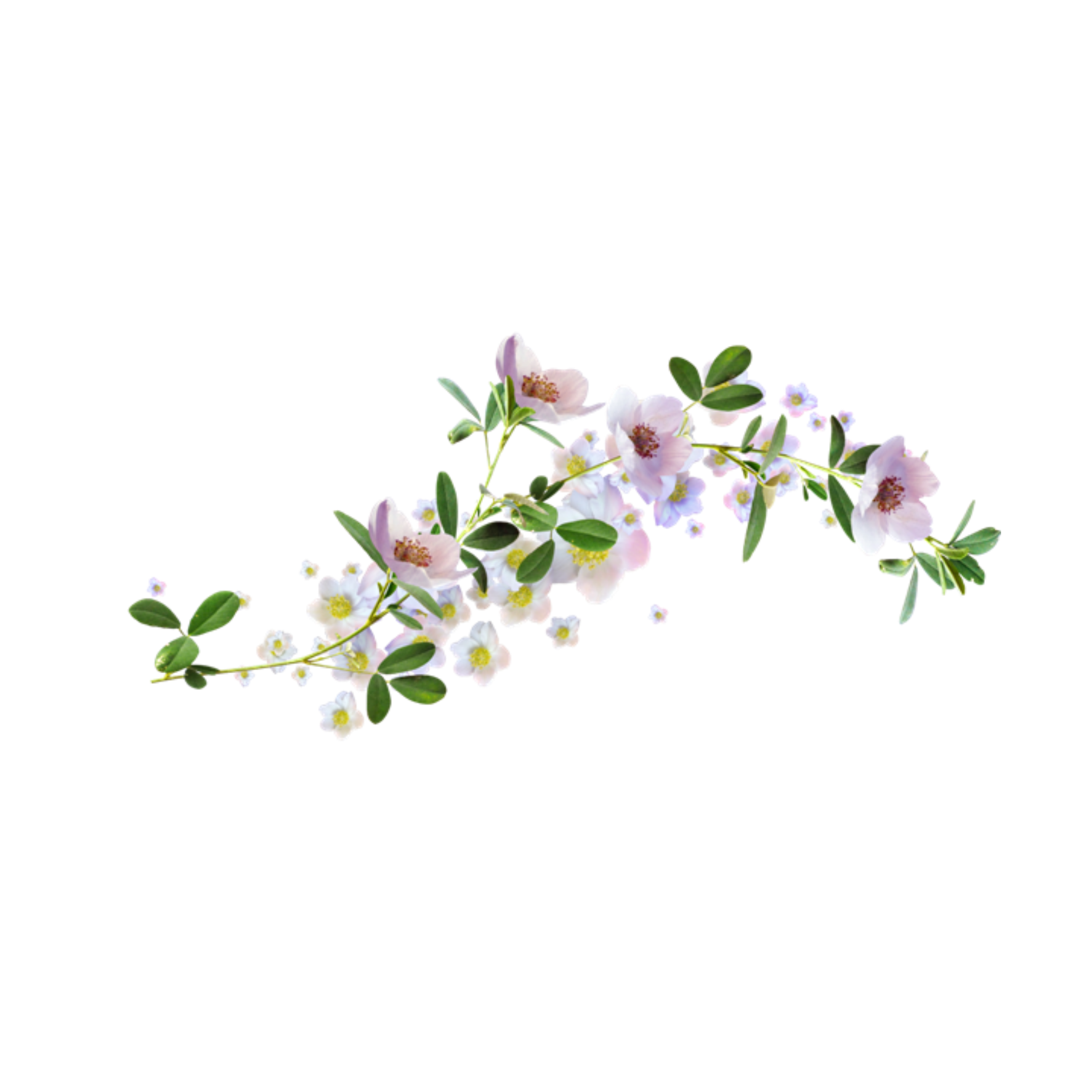 flowers vines freetoedit flowers sticker by alwaysmetal86