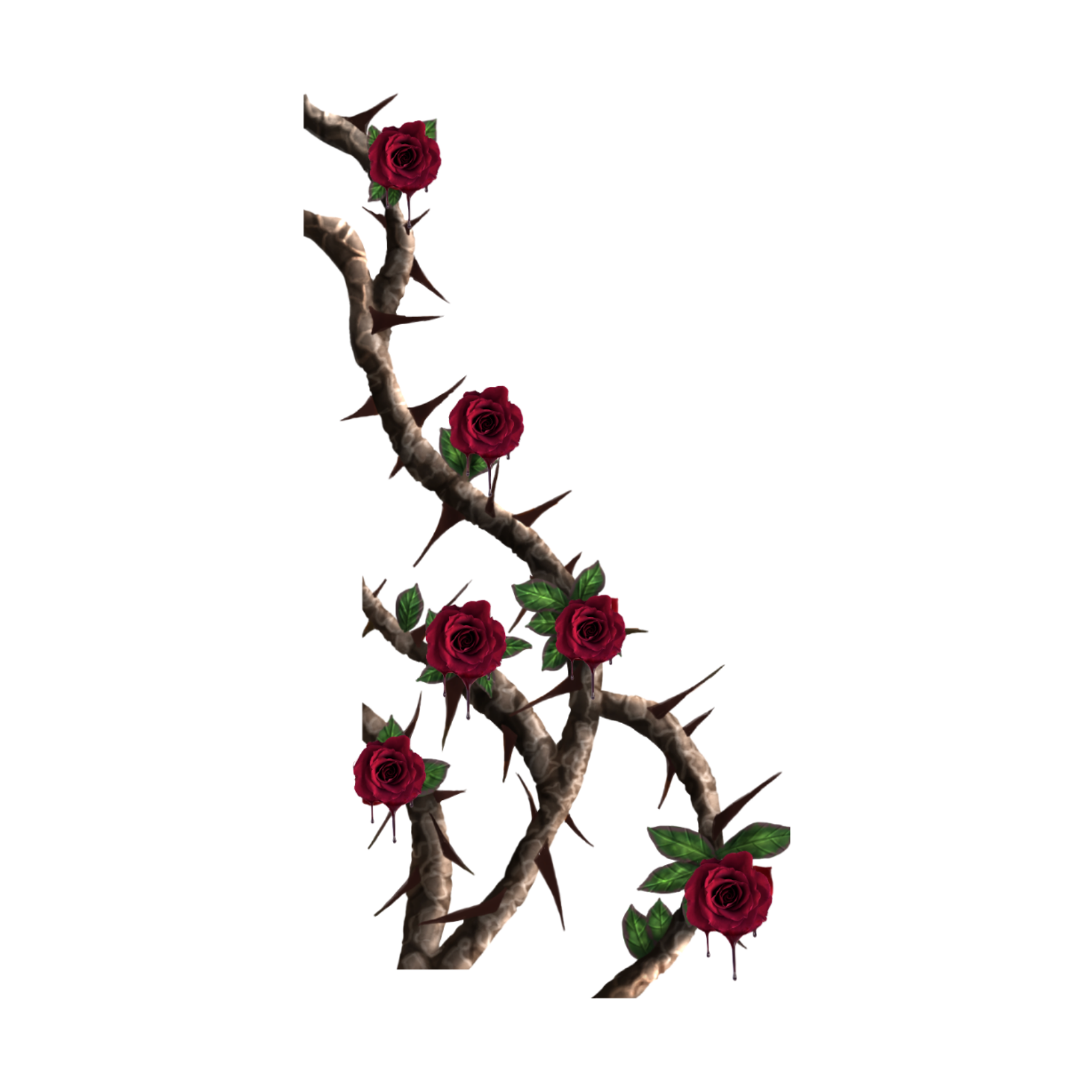 roses redrose thorns rosesandthorns sticker by @nascargrl4jj.