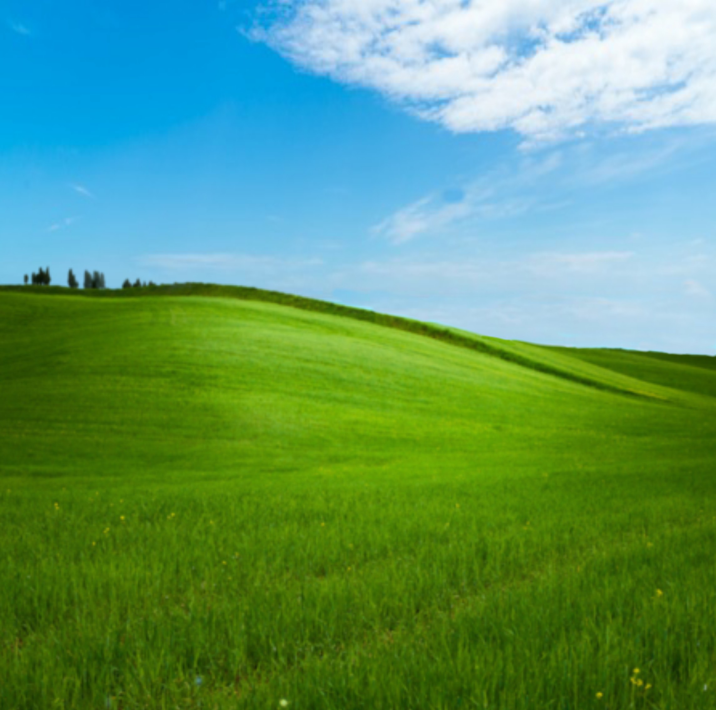 Цвет холм. Зеленая равнина. Зеленые Луга. Красивое зеленое поле. Трава поле.