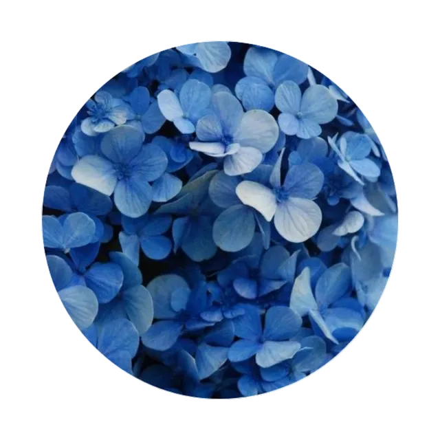 Blue Tumblr Aesthetic Sticker By Ðð¢ð³