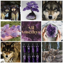 relistwolves wolf crystal amethyst wolves art photography