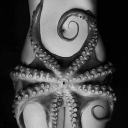 art octopus sensation night woman