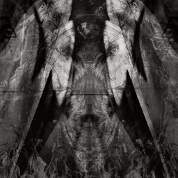 macabre dark_art blackandwhite blackandwhitephotography wapscary
