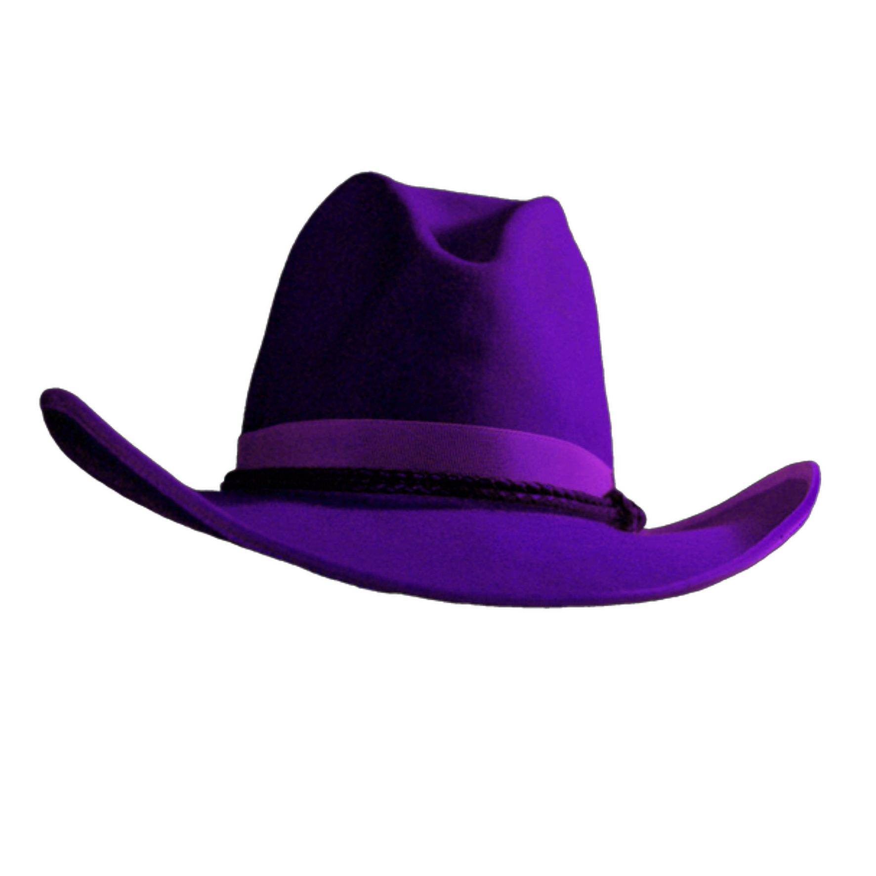 purple hat cowboyhat freetoedit sticker by amberleanne420