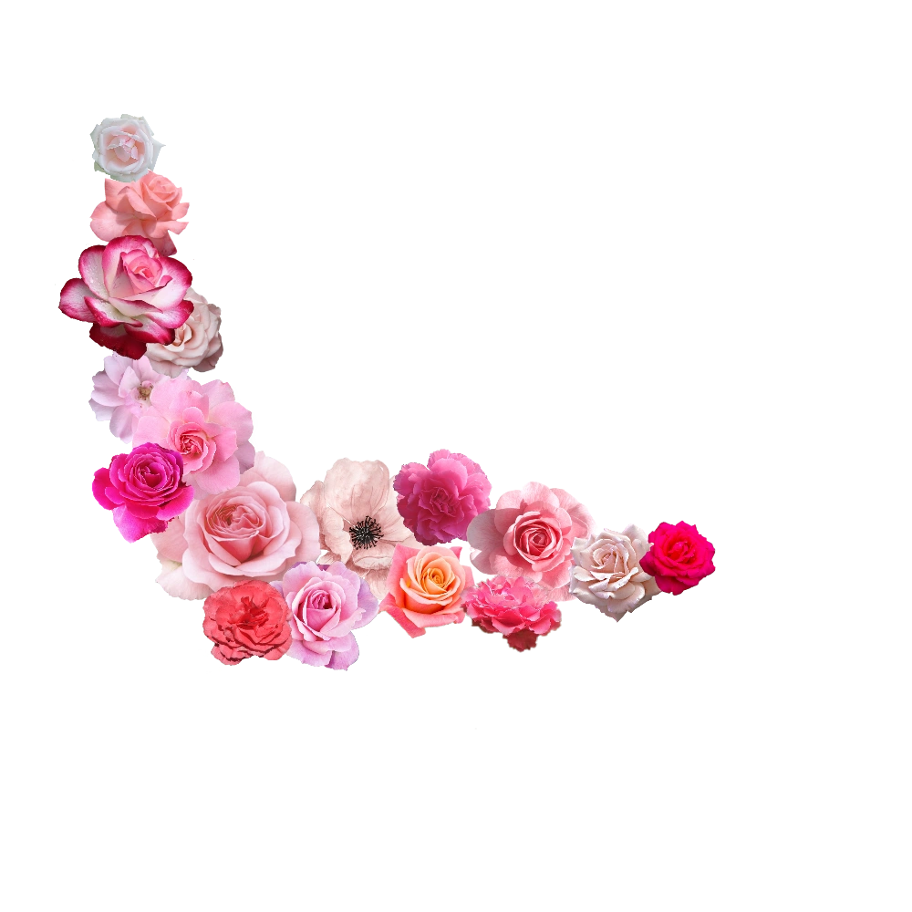 #pinkflower #flowers #pastelpink #pastelflowers