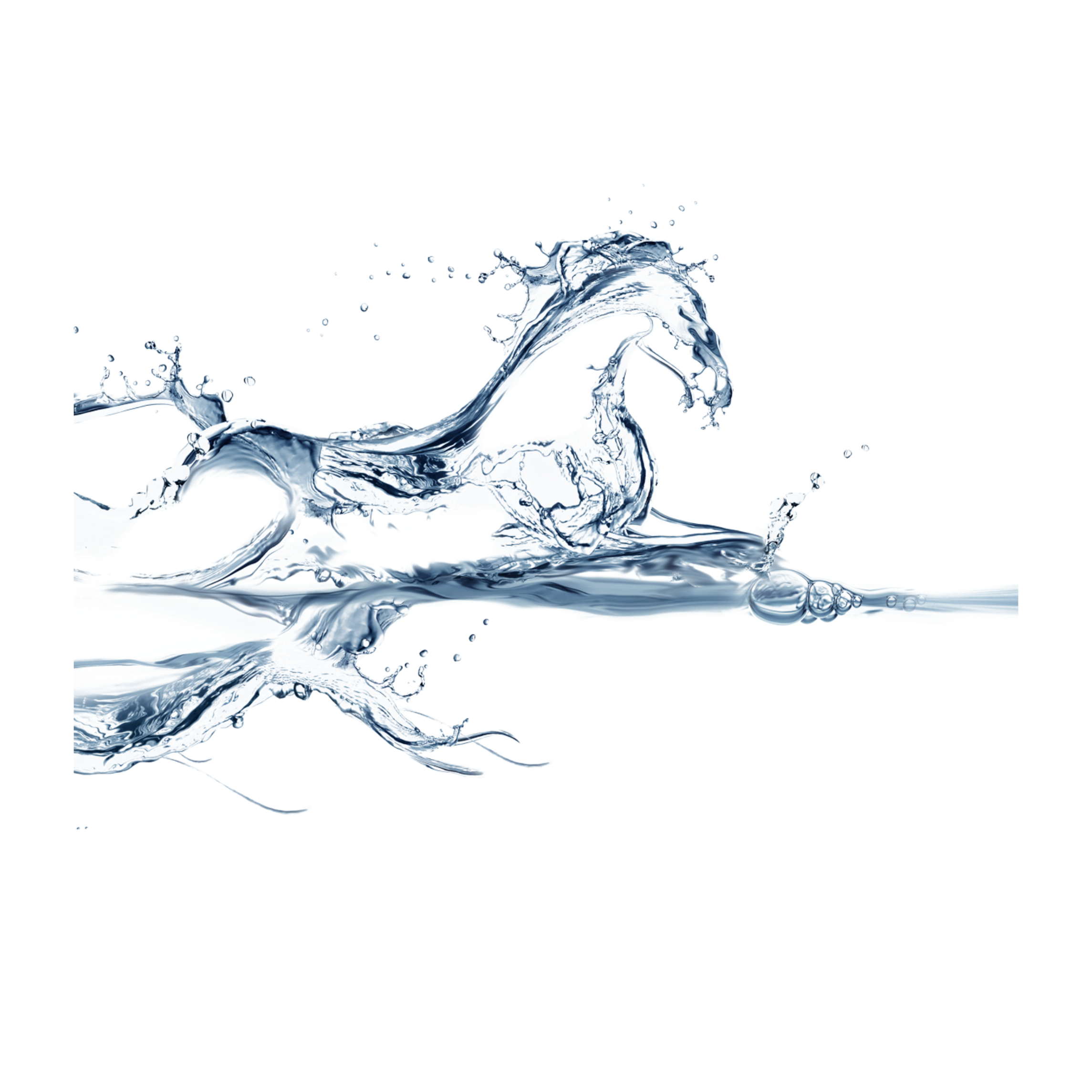 mq-horse-water-waters-splash-sticker-by-qoutesforlife