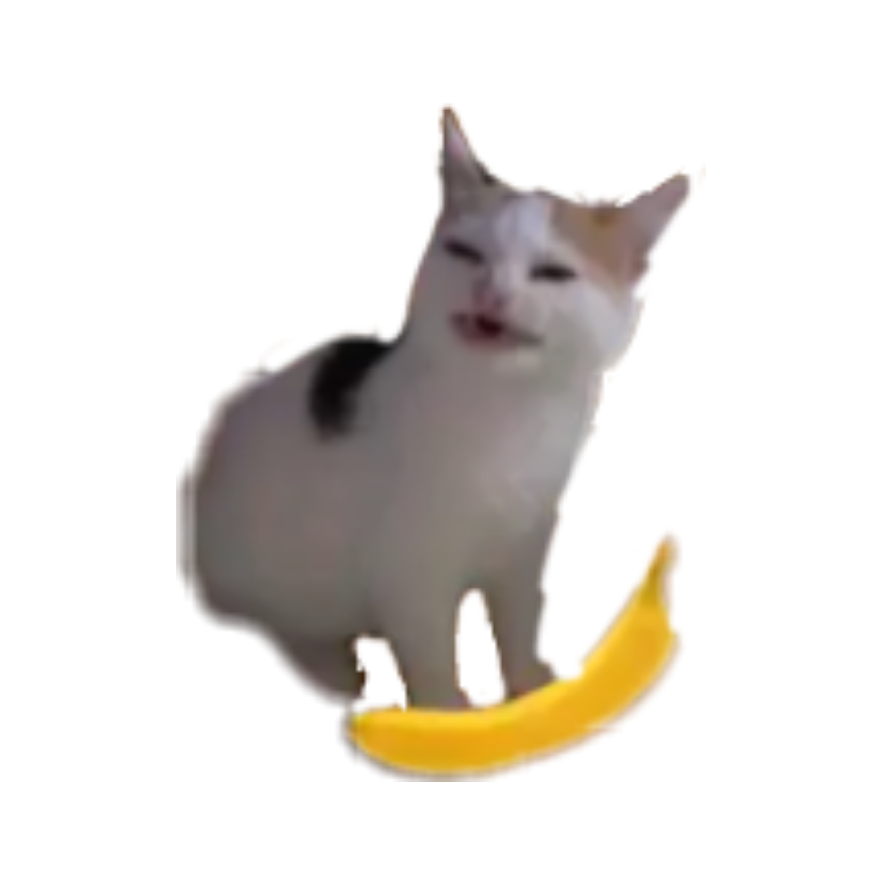 cat banana bananatime 273044350007211 by @queen_galaxy1o1.
