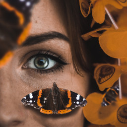 freetoedit eye butterfly edit face