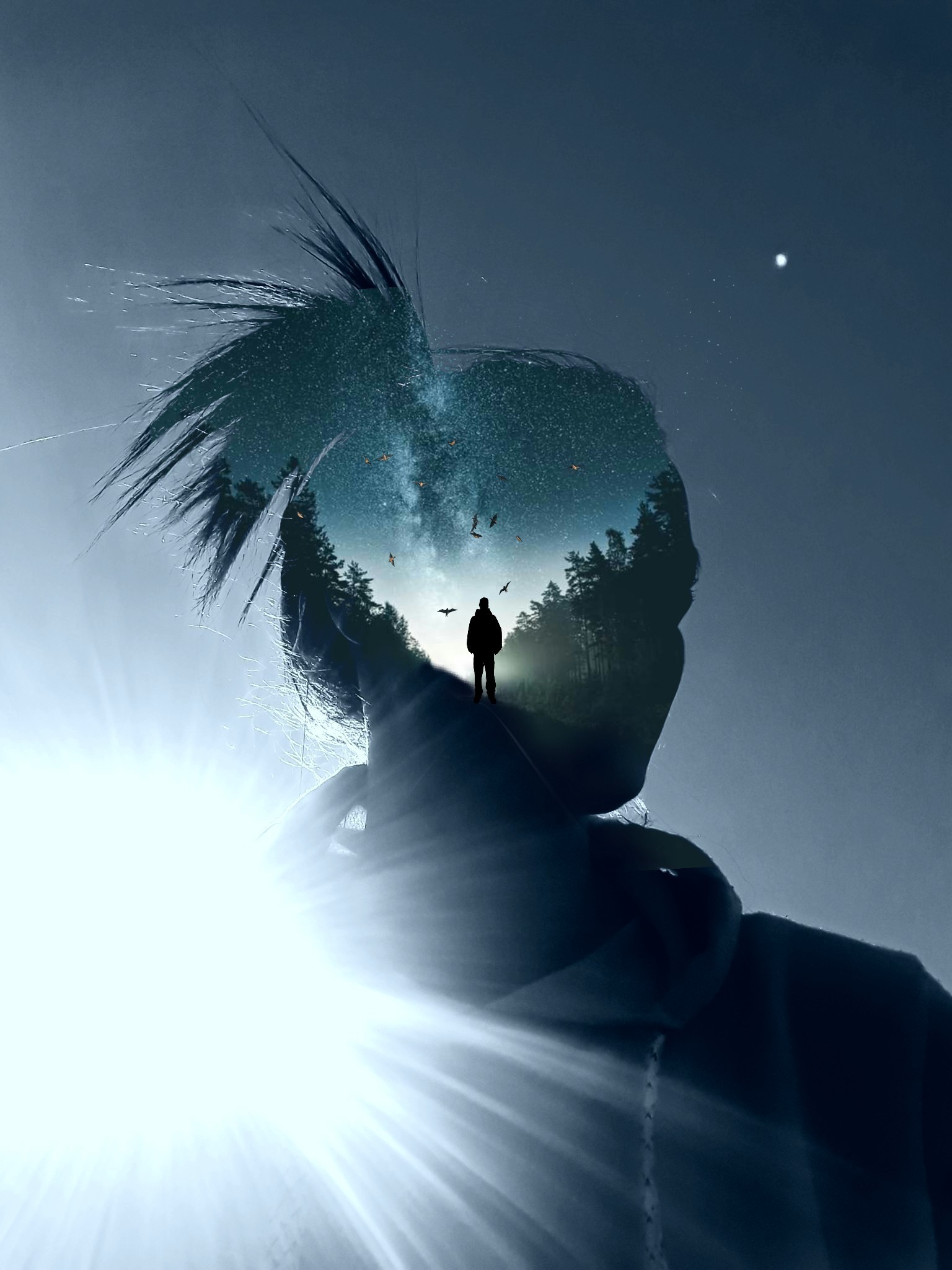  #freetoedit Happy day/evening to all ðââï¸ððð @pa @freetoedit #myphoto #myedit  #photography #me #silhouette #girl #doubleexposure #man #moon #forest #birds #blue 