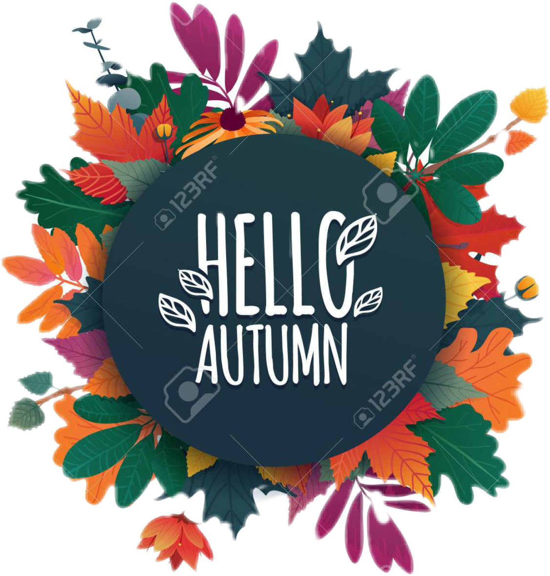 fallcolors fall=autumn freetoedit sticker by @kateydid