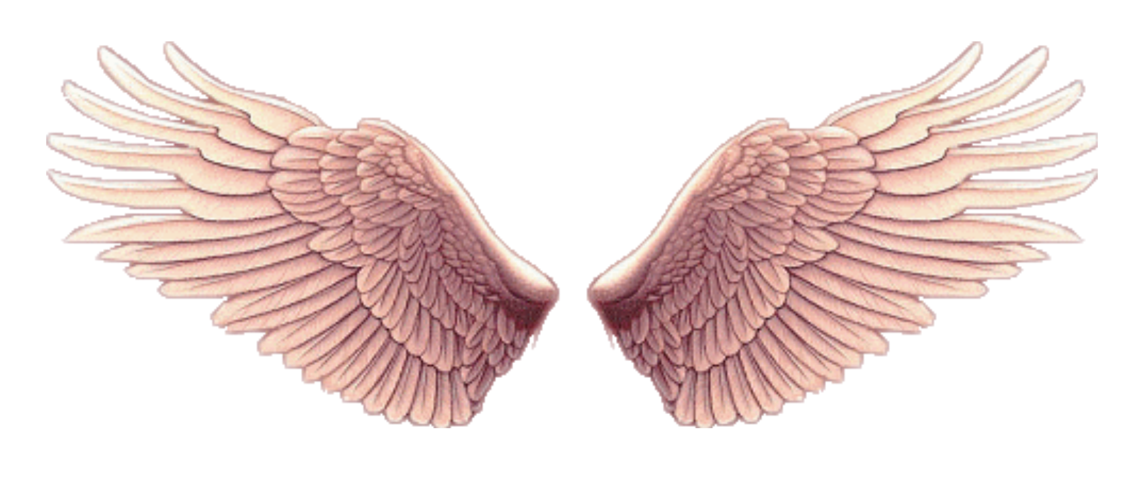 Символ два крыла. Крылья. Красивые Крылья. Крылья вектор. Крылья ангелов.
