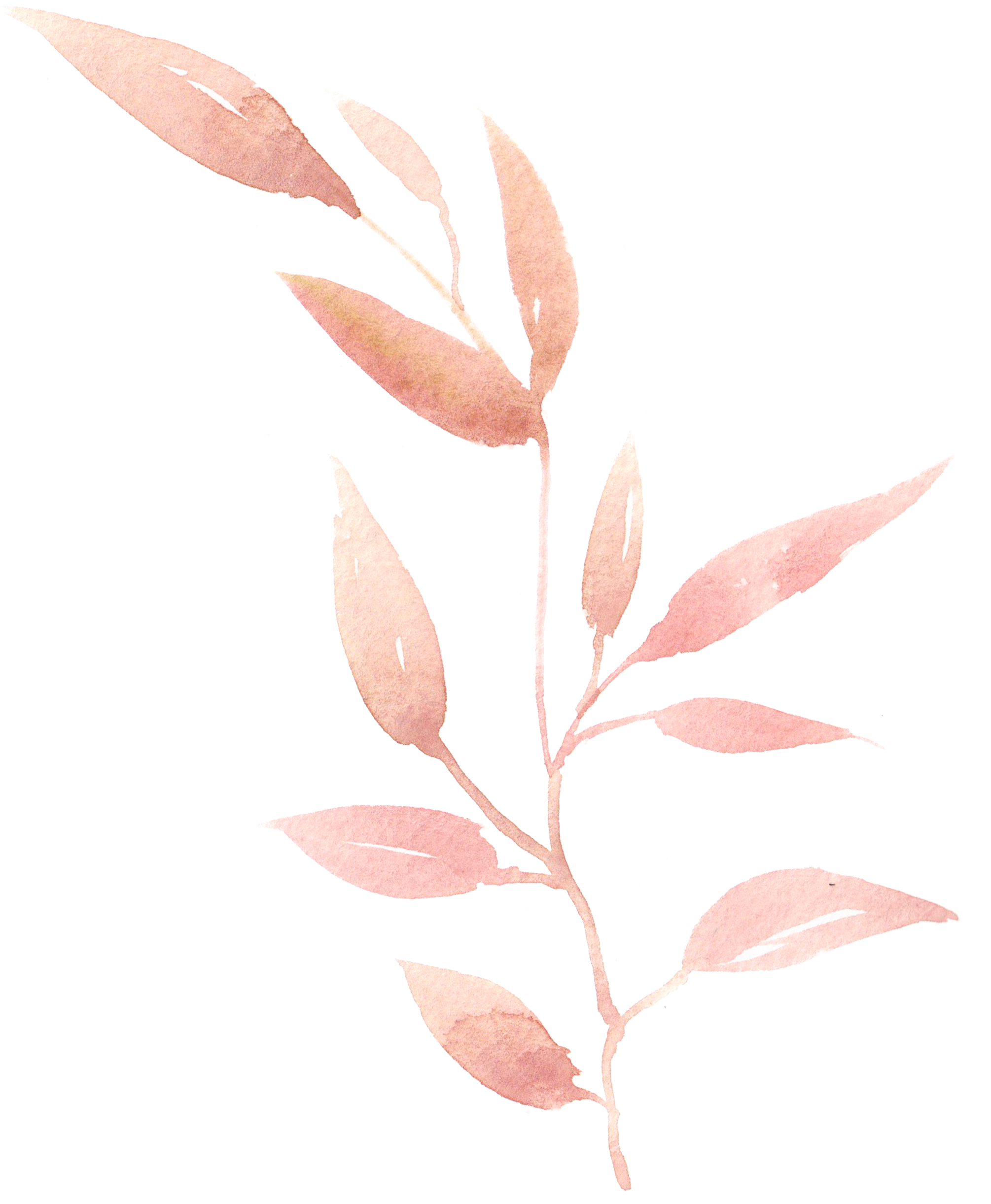 pink leaf leaves ftestickers freetoedit sticker by @missbee_