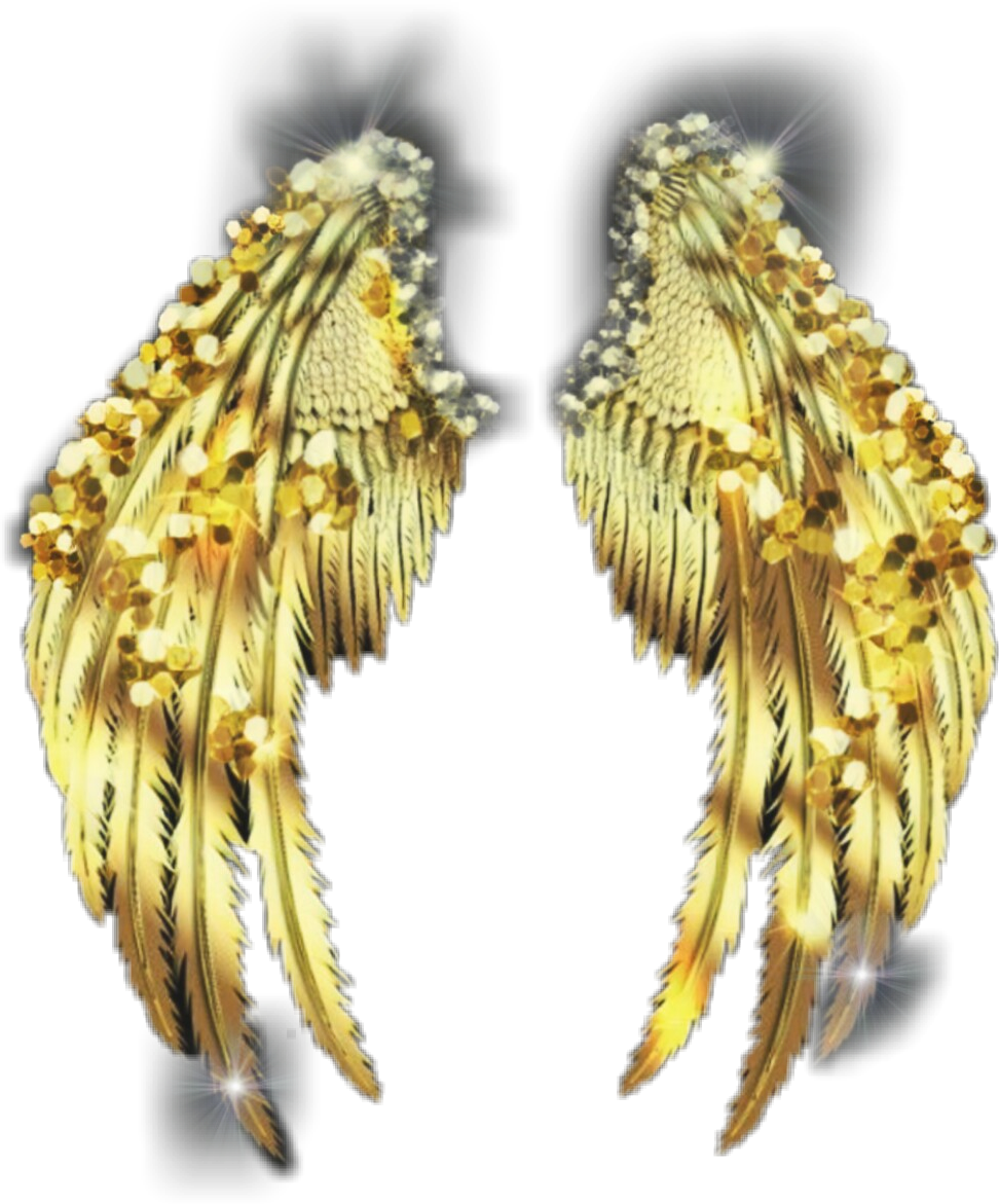 Золотистые крылья. Золотые Крылья. Золотые Крылья ангела. Золотые серьги Крылья ангела.