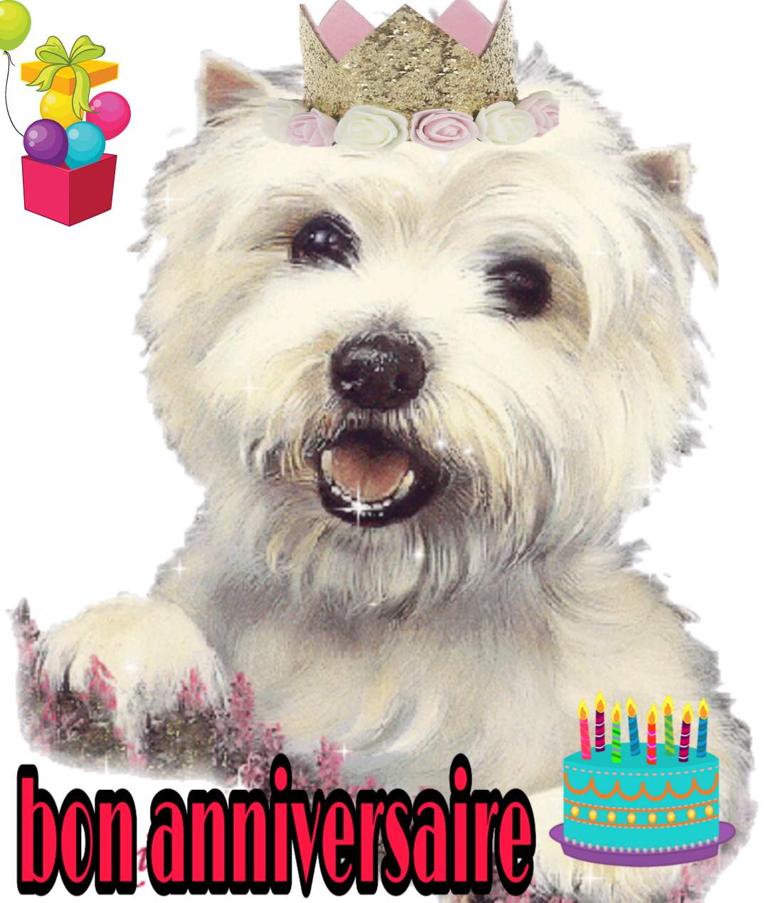 Anniversaire Bichon Sticker By Delcroix Marie Ange