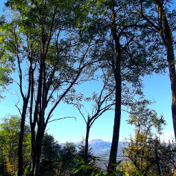 nature trees mountains myphotography challenge freetoedit pcsurroundedbytrees surroundedbytrees