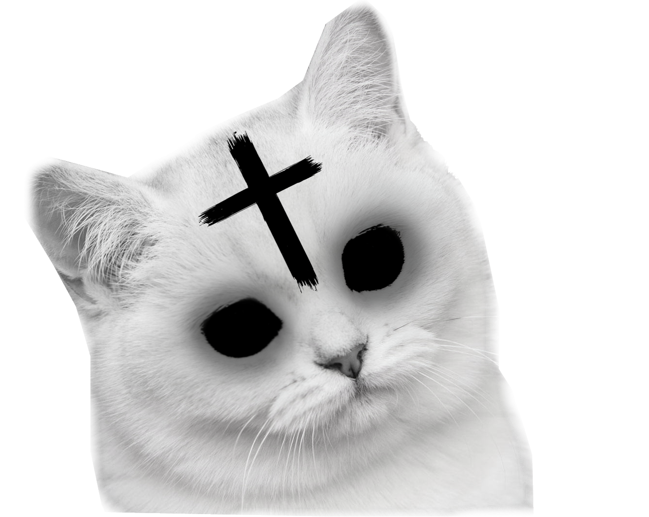 Кот с крестом мем