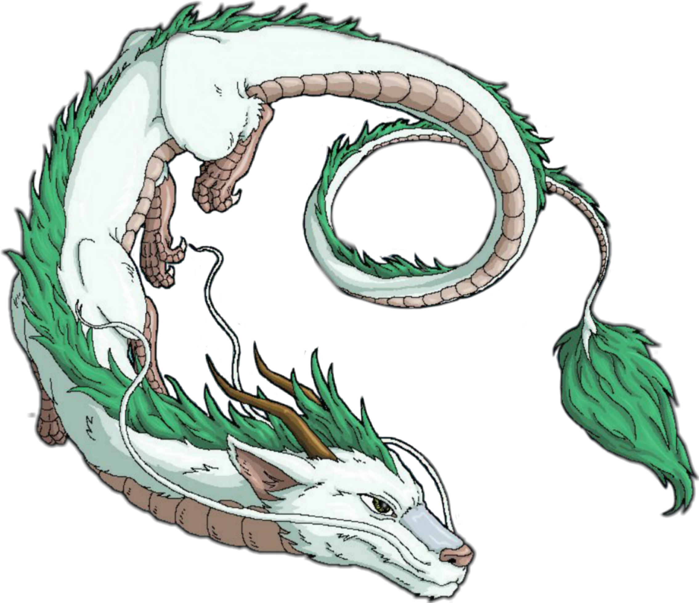 Haku Spirited Away Meme Spirited Away Hd Wallpaper 