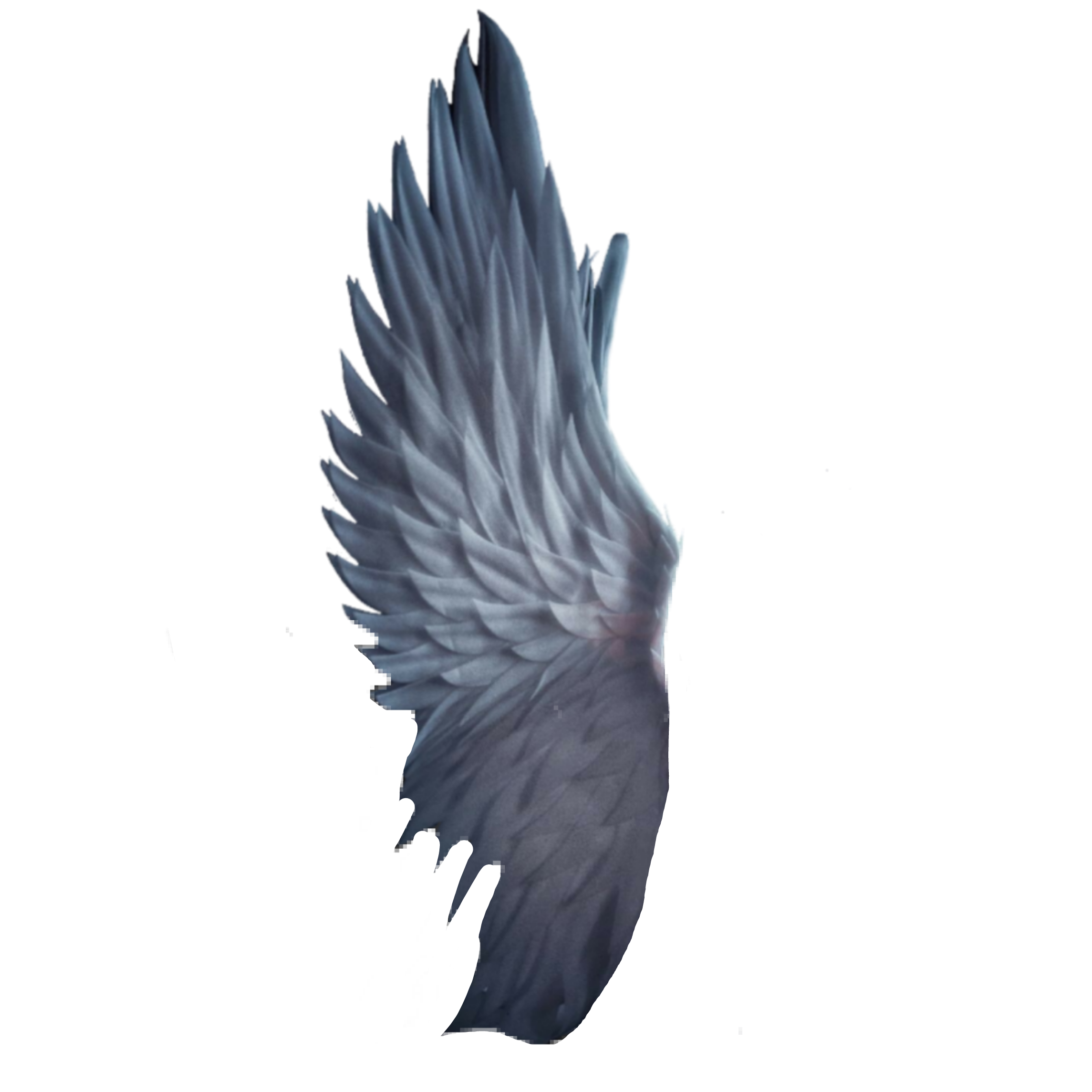 wings angel angelwings ftestickers sticker by @imkarthik1997