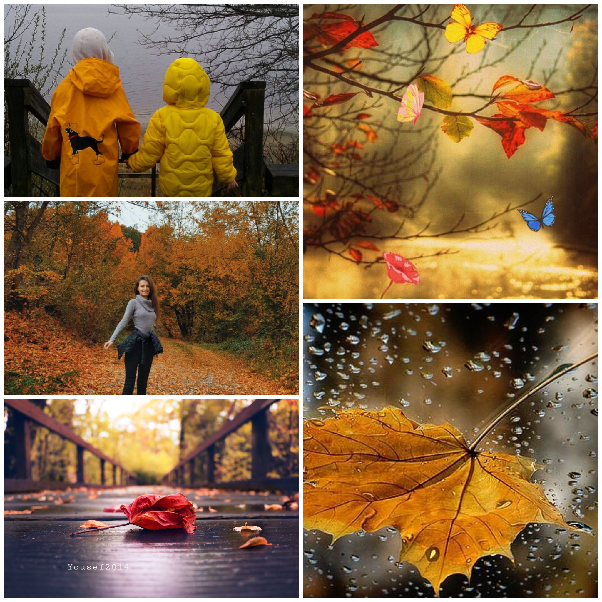 Коллаж Из Фотографий На Тему Осень