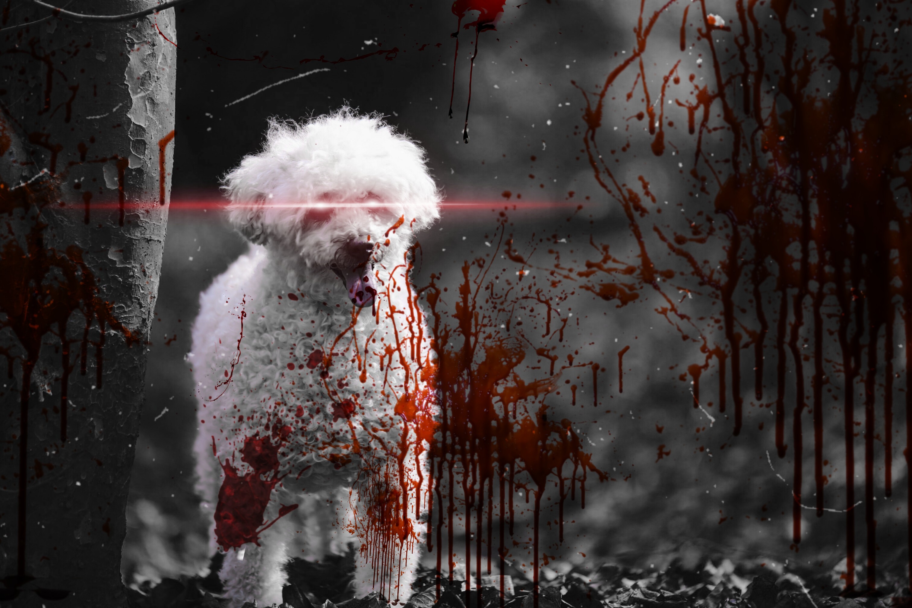 freetoedit dog blood splatter  drip surreal picsart  horr 