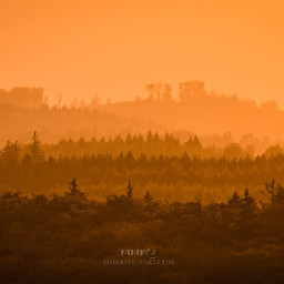 summer harz sunset landscape orange