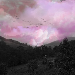 freetoedit aesthetic pink landscape