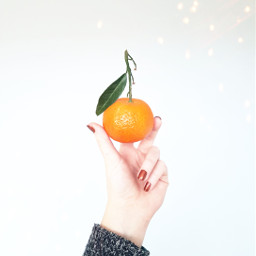 freetoedit fruit mandarin hand orange