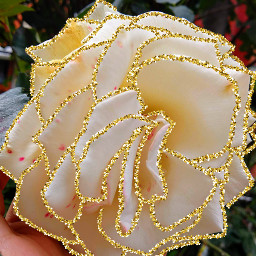 freetoedit rose goldenbrush