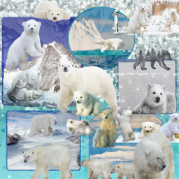 freetoedit polarbears