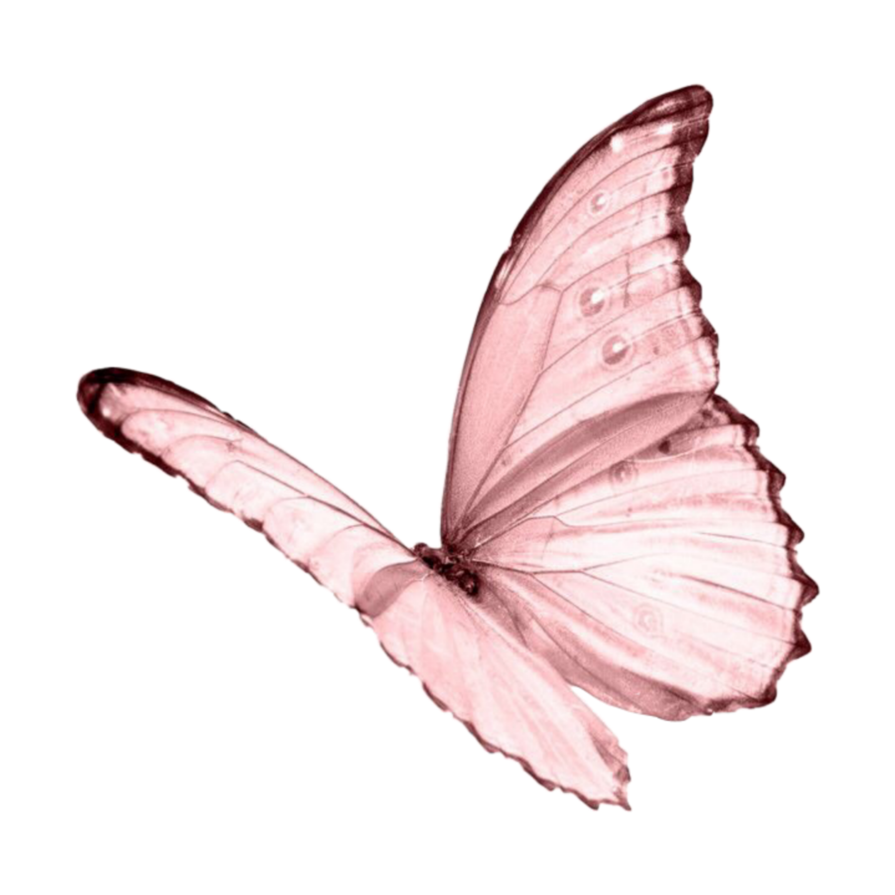 horoscope flower chinese sticker by starrysky5794