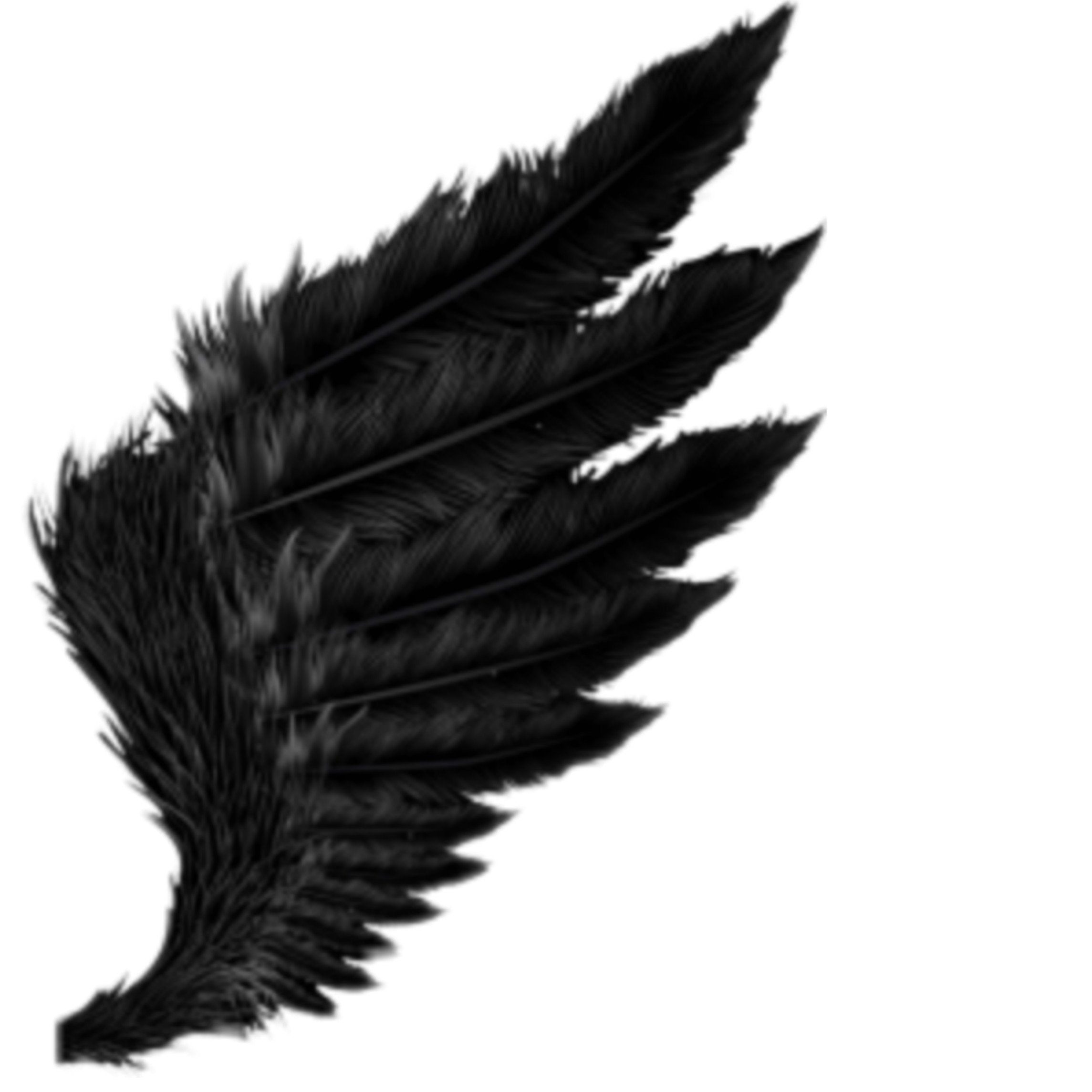 Чёрные Крылья