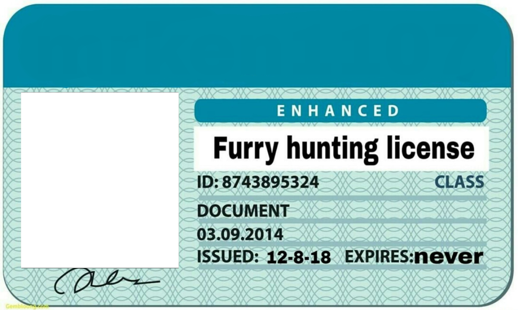 License to fill. Лицензия на Хорни. Furry Hunting License. Furry Hunter License. Лицензия Мем.