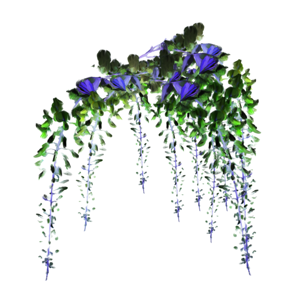 flower flowers vine vines decoration terrieasterly