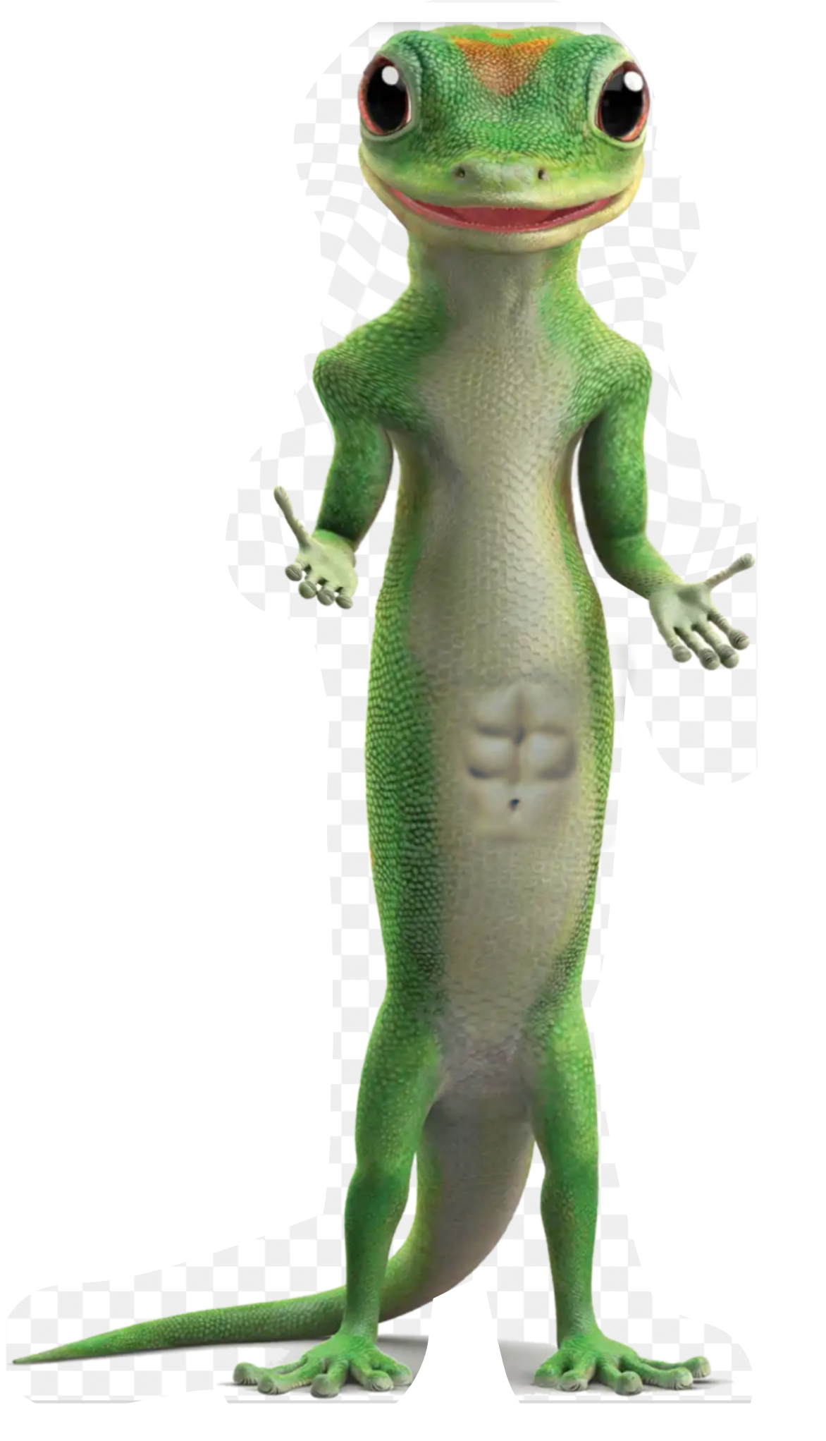 What Do Geico Stand For