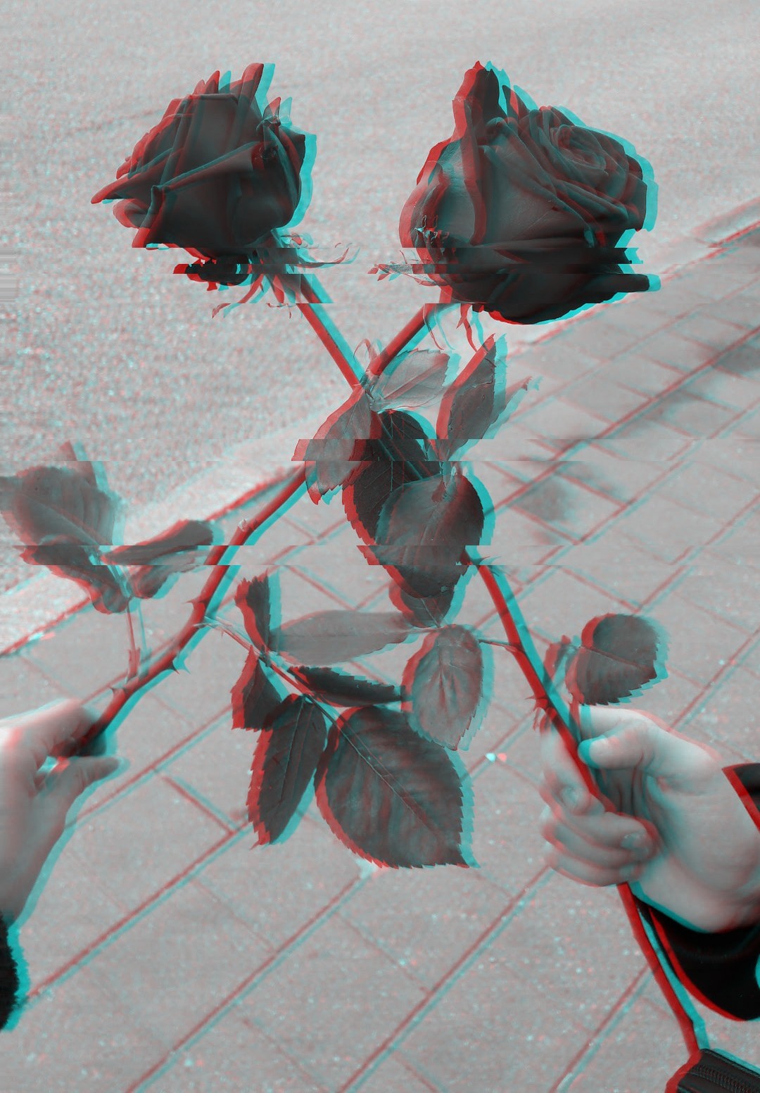 rose roses glitch tumblr aesthetic error freetoedi... - 1080 x 1553 jpeg 299kB