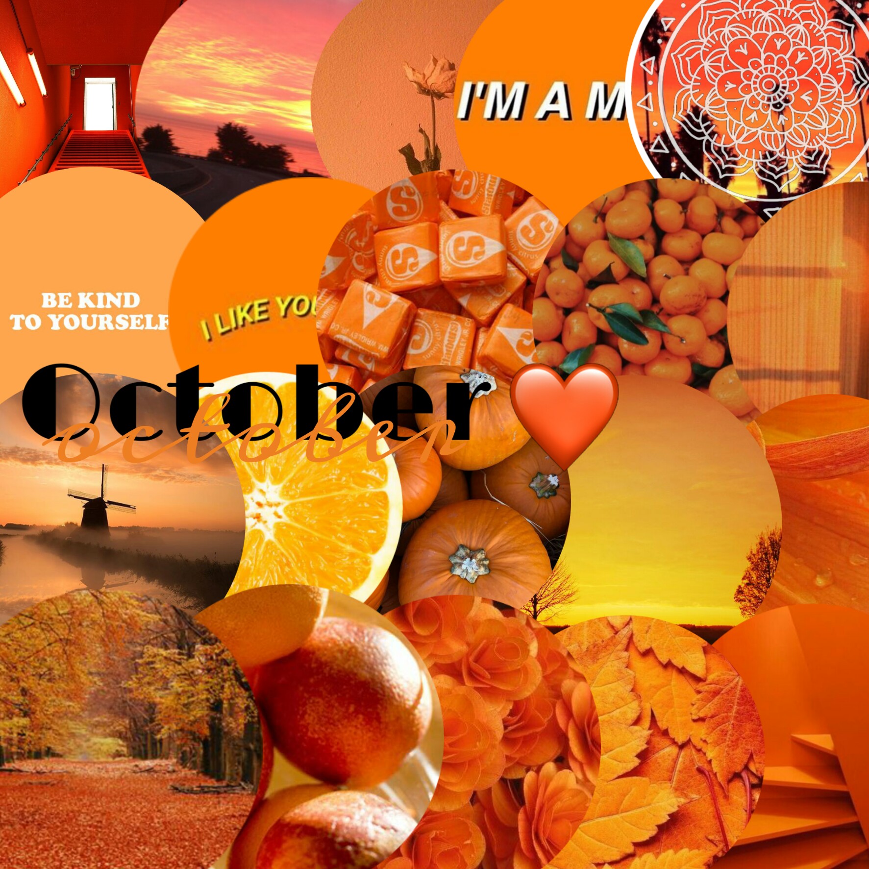 This visual is about october orange aesthetic tumblr wallpaper freetoedit ...