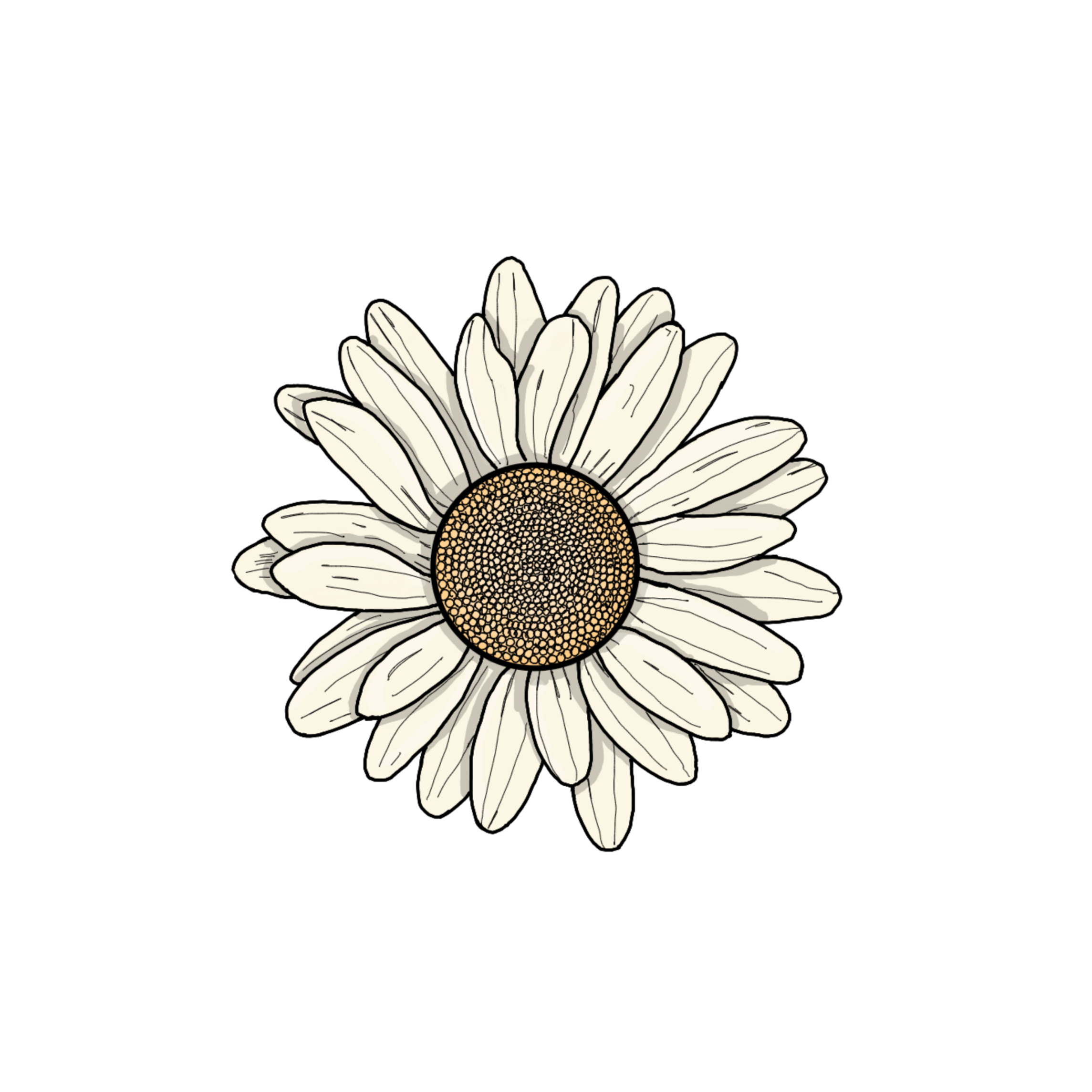 flower cartoon freetoedit #flower sticker by @stacy-renee-k