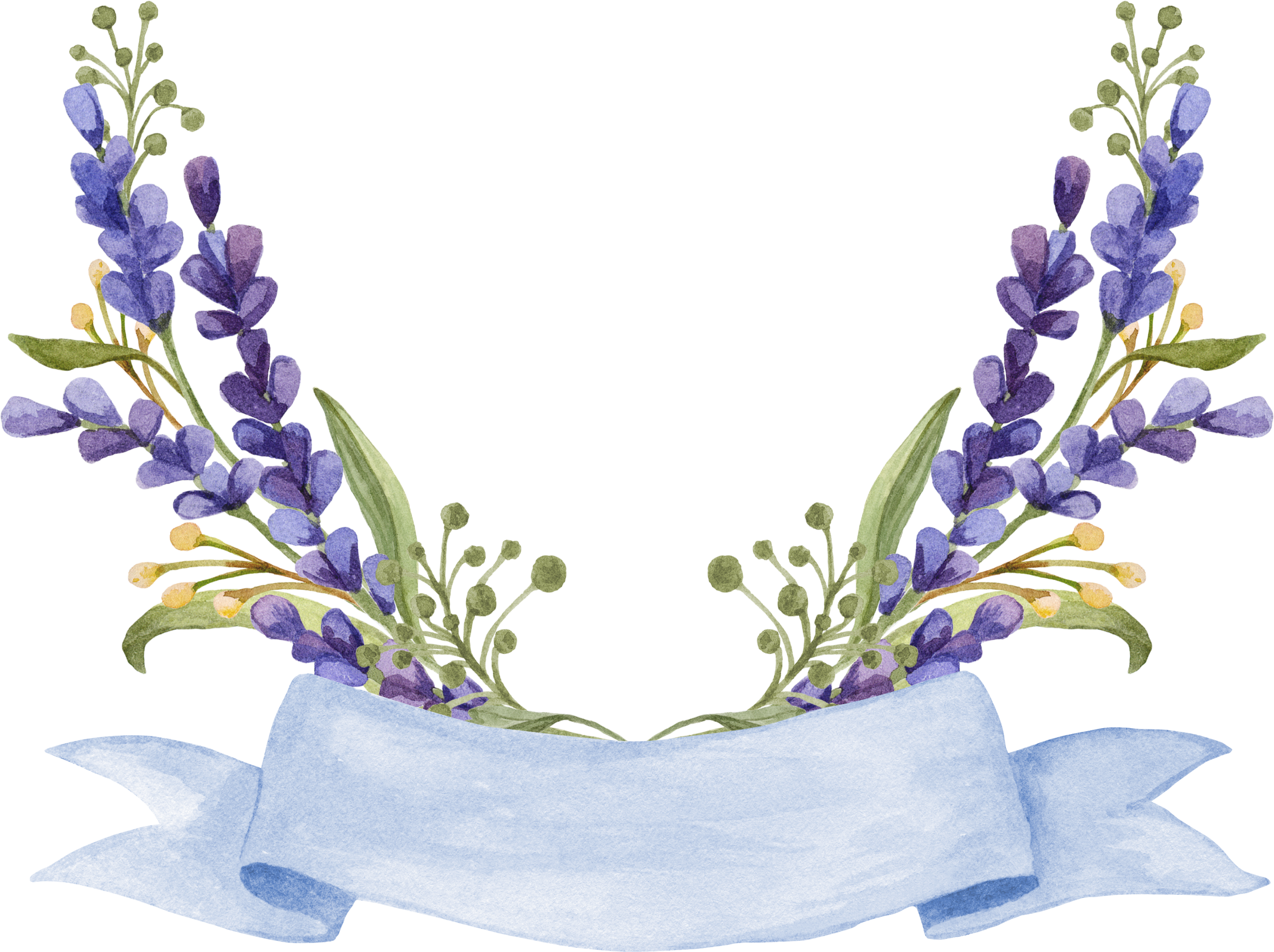 This visual is about lavenderflowers lavender lilacflowers purpleflower pur...