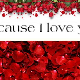freetoedit flowers redroses love becauseofyou